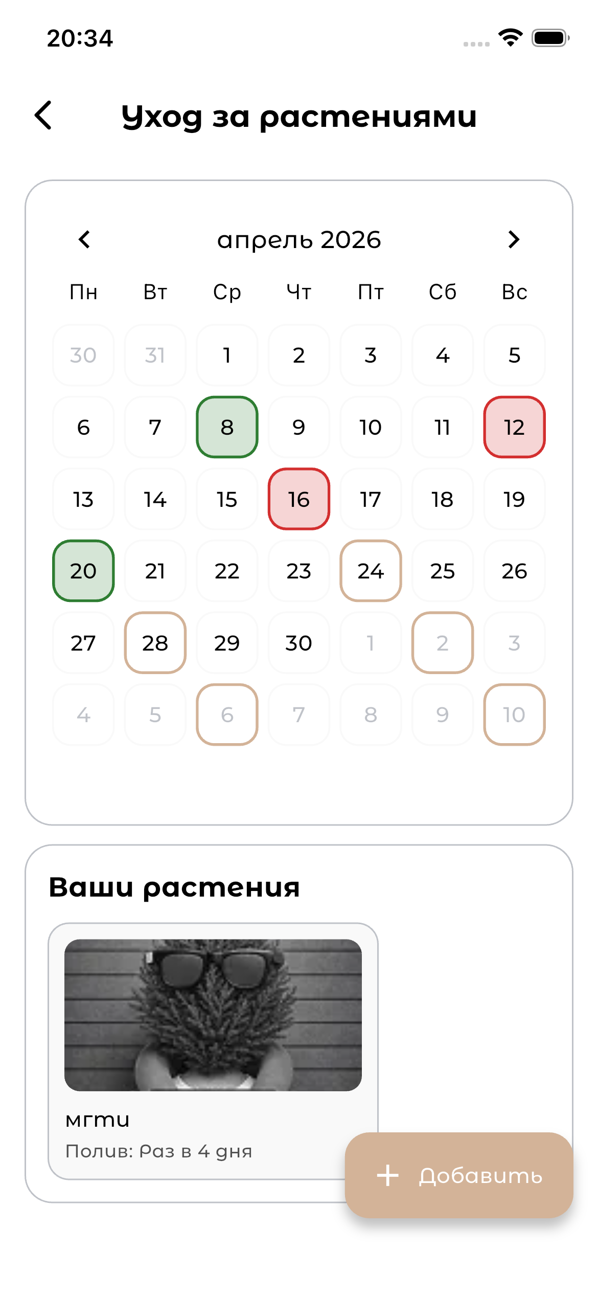 Azalia: экран ухода за растениями